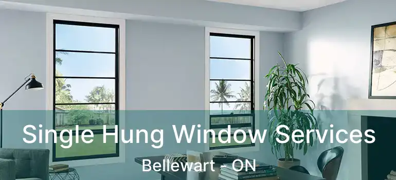  Single Hung Window Services Bellewart - ON