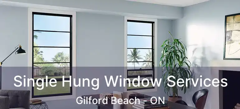  Single Hung Window Services Gilford Beach - ON
