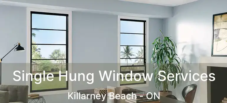  Single Hung Window Services Killarney Beach - ON