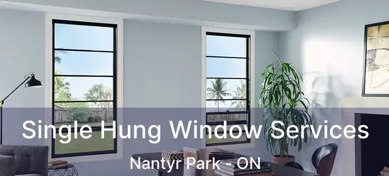  Single Hung Window Services Nantyr Park - ON