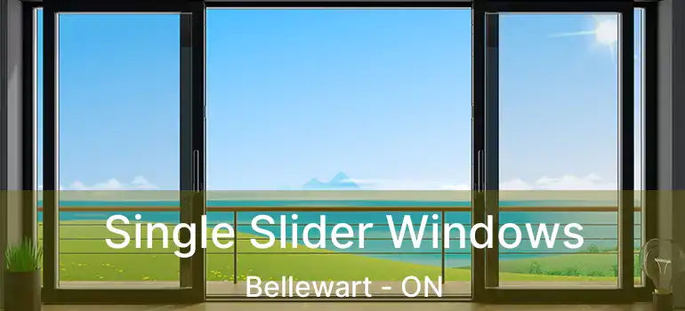  Single Slider Windows Bellewart - ON