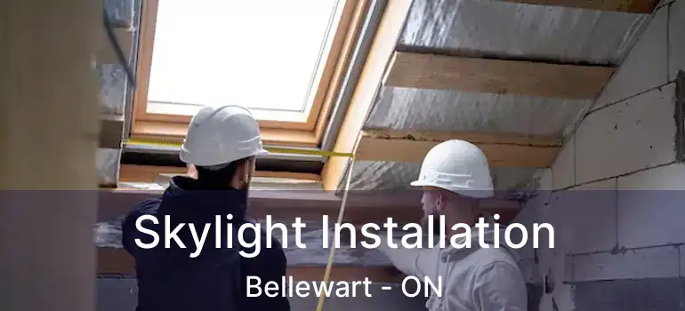  Skylight Installation Bellewart - ON