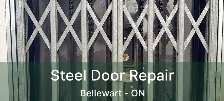  Steel Door Repair Bellewart - ON