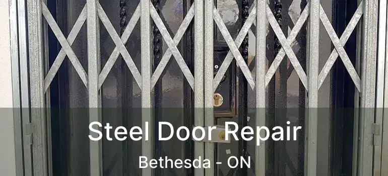  Steel Door Repair Bethesda - ON