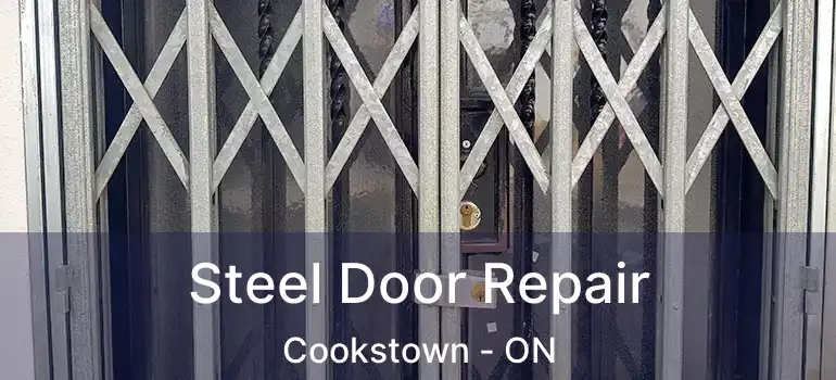  Steel Door Repair Cookstown - ON