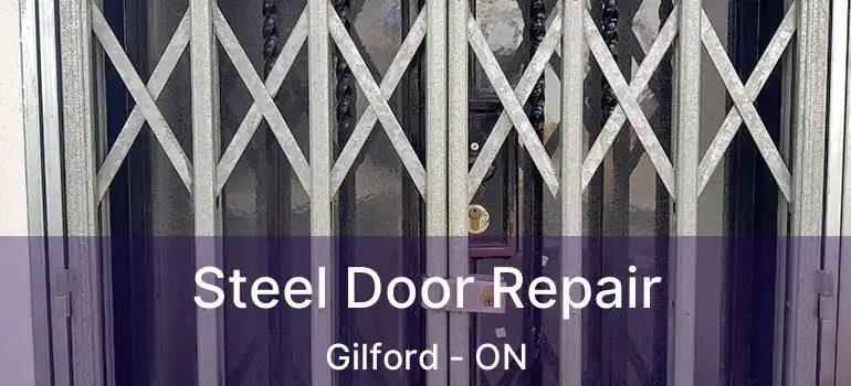 Steel Door Repair Gilford - ON