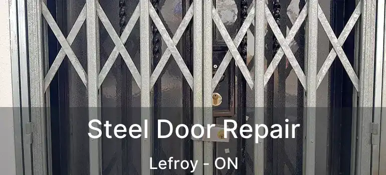  Steel Door Repair Lefroy - ON