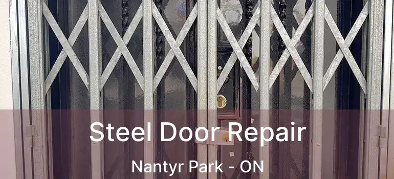  Steel Door Repair Nantyr Park - ON