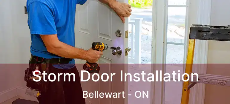  Storm Door Installation Bellewart - ON