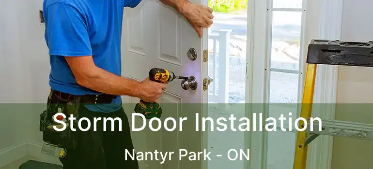  Storm Door Installation Nantyr Park - ON
