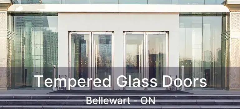  Tempered Glass Doors Bellewart - ON