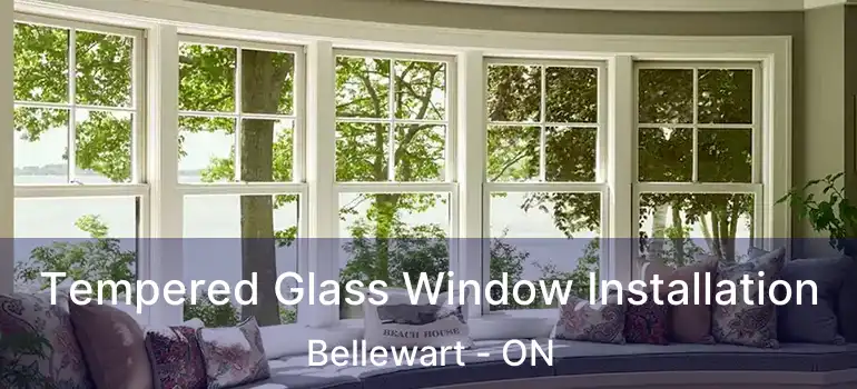  Tempered Glass Window Installation Bellewart - ON