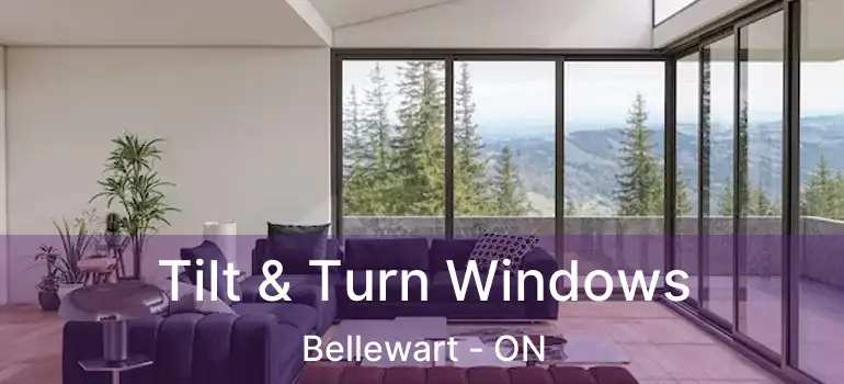  Tilt & Turn Windows Bellewart - ON