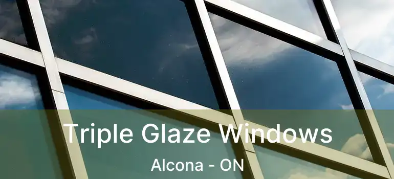  Triple Glaze Windows Alcona - ON