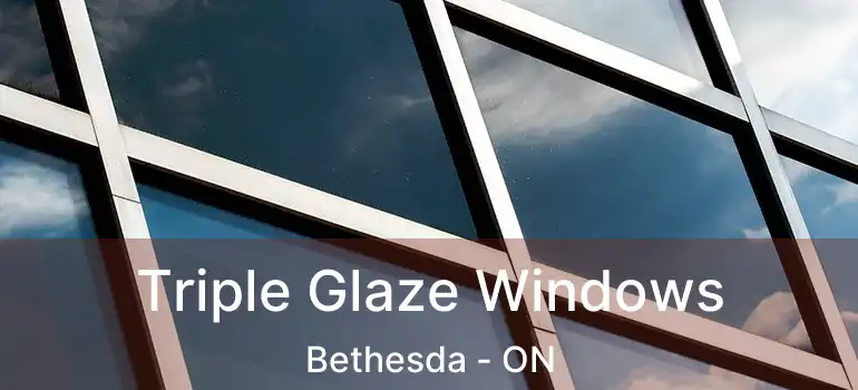 Triple Glaze Windows Bethesda - ON