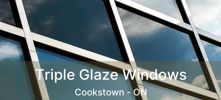  Triple Glaze Windows Cookstown - ON