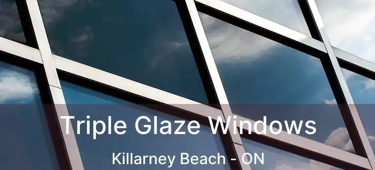  Triple Glaze Windows Killarney Beach - ON