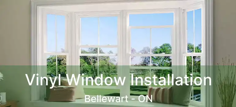  Vinyl Window Installation Bellewart - ON