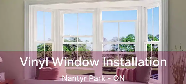  Vinyl Window Installation Nantyr Park - ON