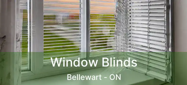  Window Blinds Bellewart - ON