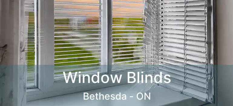  Window Blinds Bethesda - ON