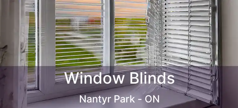  Window Blinds Nantyr Park - ON