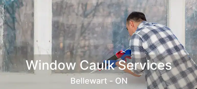  Window Caulk Services Bellewart - ON