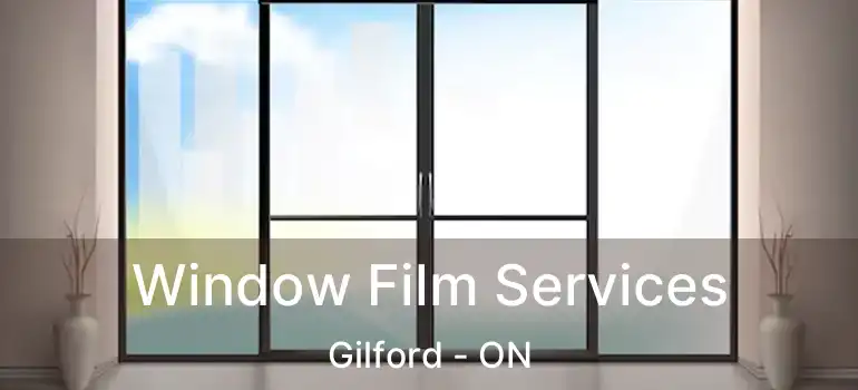 Window Film Services Gilford - ON