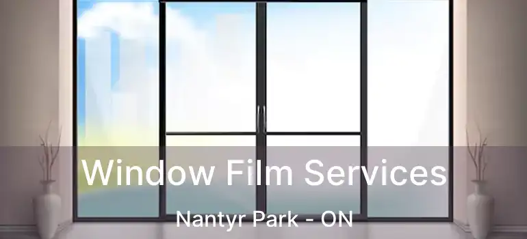  Window Film Services Nantyr Park - ON
