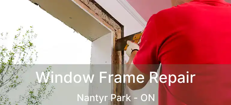  Window Frame Repair Nantyr Park - ON