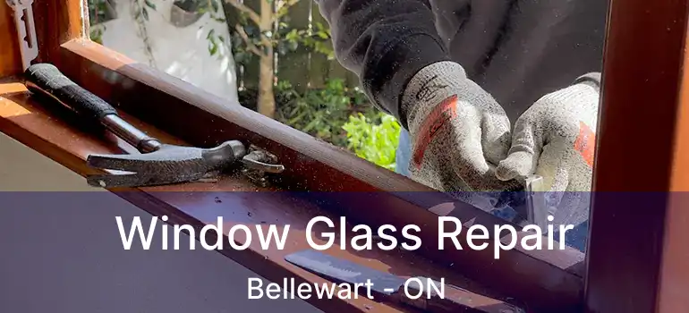  Window Glass Repair Bellewart - ON