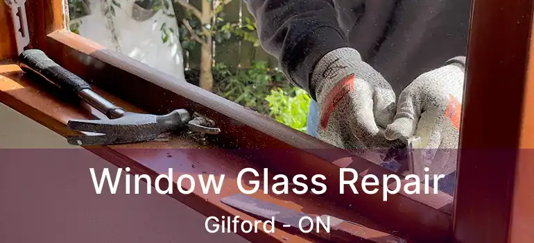  Window Glass Repair Gilford - ON