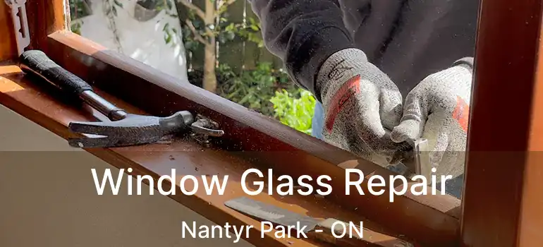  Window Glass Repair Nantyr Park - ON