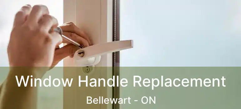  Window Handle Replacement Bellewart - ON