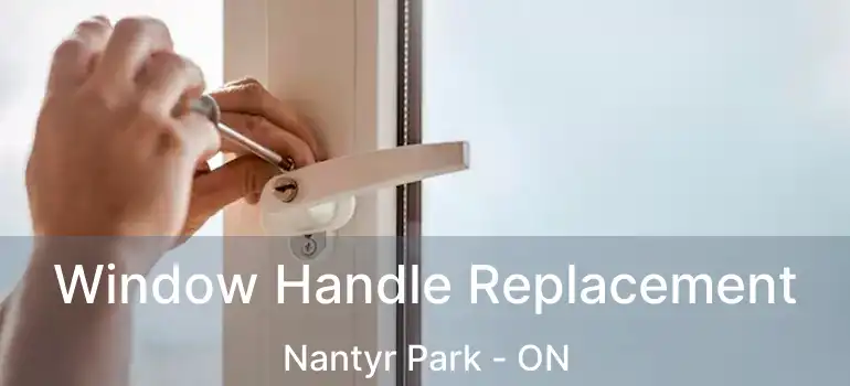  Window Handle Replacement Nantyr Park - ON