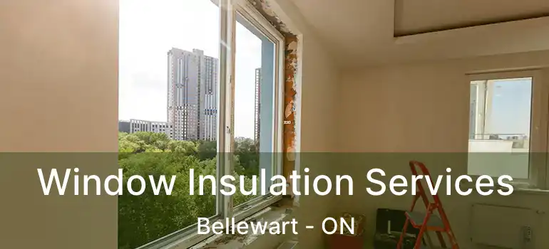  Window Insulation Services Bellewart - ON