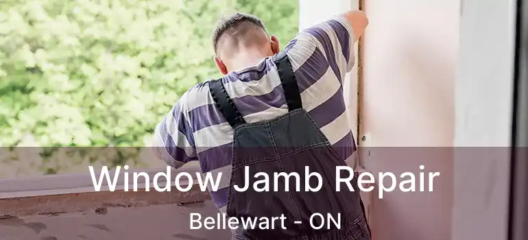  Window Jamb Repair Bellewart - ON