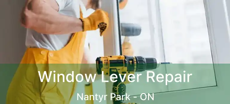  Window Lever Repair Nantyr Park - ON