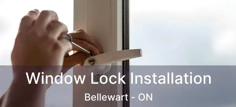  Window Lock Installation Bellewart - ON