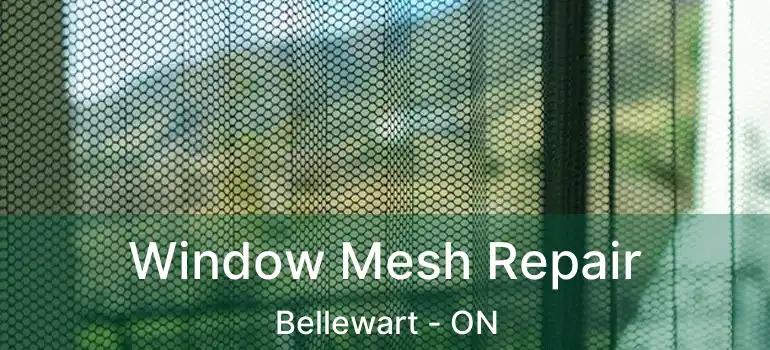  Window Mesh Repair Bellewart - ON