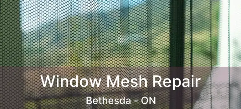  Window Mesh Repair Bethesda - ON