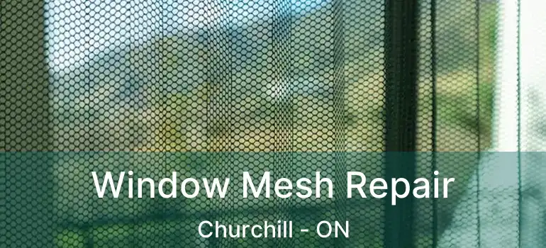  Window Mesh Repair Churchill - ON