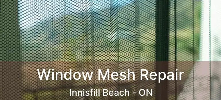  Window Mesh Repair Innisfill Beach - ON