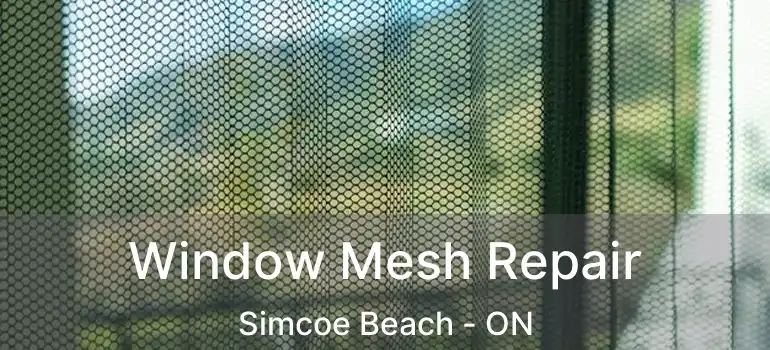  Window Mesh Repair Simcoe Beach - ON