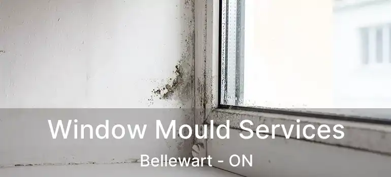  Window Mould Services Bellewart - ON