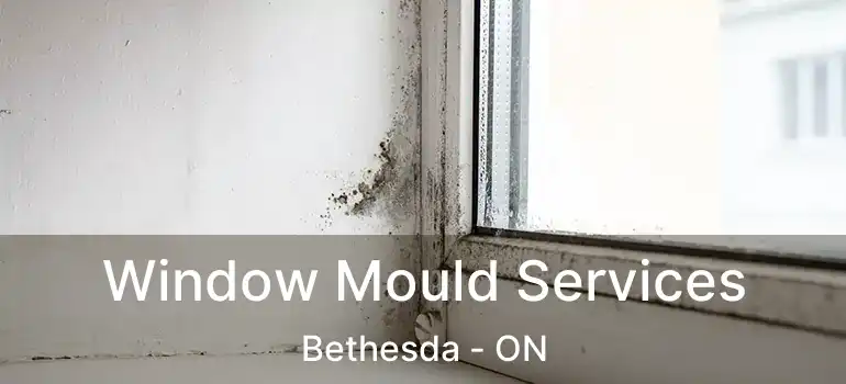  Window Mould Services Bethesda - ON
