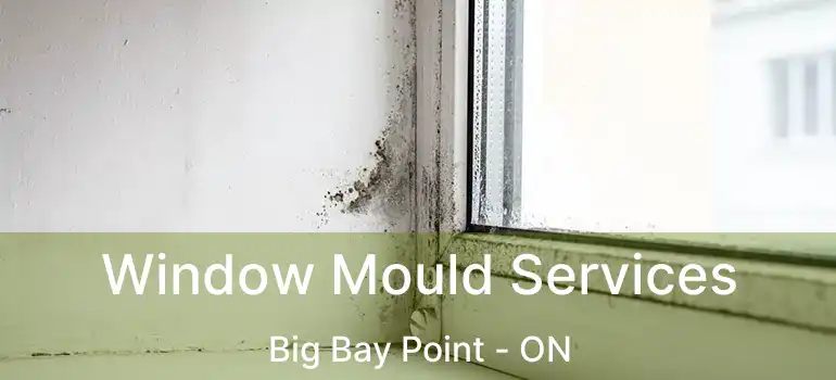  Window Mould Services Big Bay Point - ON