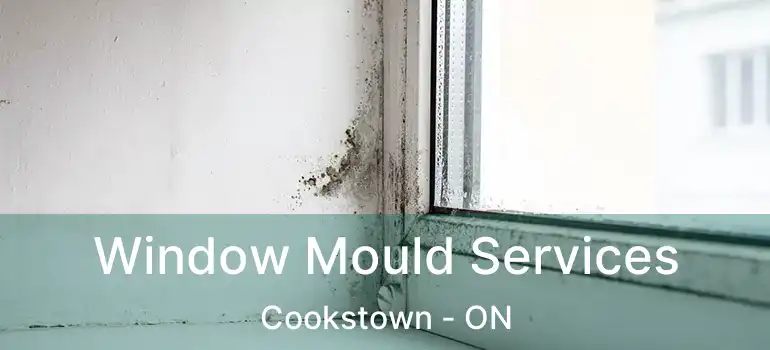  Window Mould Services Cookstown - ON