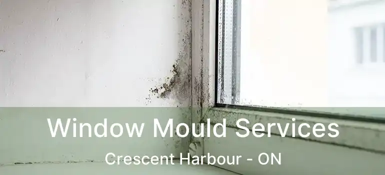  Window Mould Services Crescent Harbour - ON