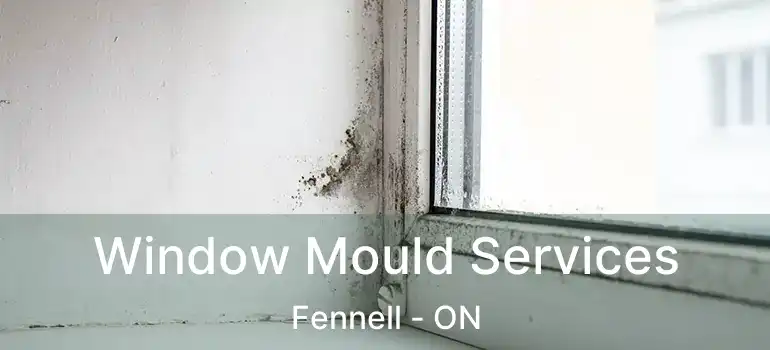  Window Mould Services Fennell - ON